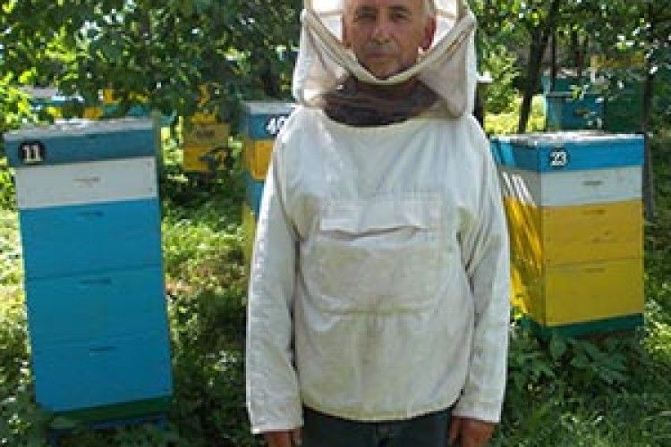 «ЯКБИ У СУСПІЛЬСТВІ ДІЯЛИ ЗАКОНИ,  ЯК У БДЖІЛ, ХОЧ ТАМ ТЕЖ Є ТРУТНІ, МИ ЖИЛИ Б ПРЕКРАСНО»