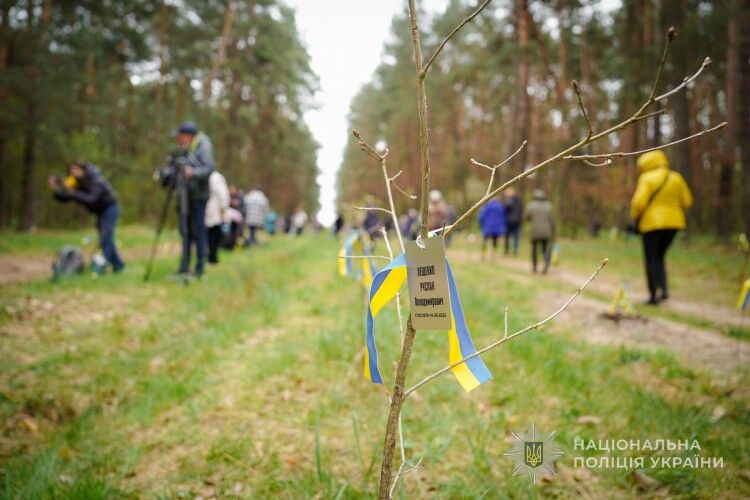 Волинські поліцейські долучились до ініціативи «Ліс Героїв»