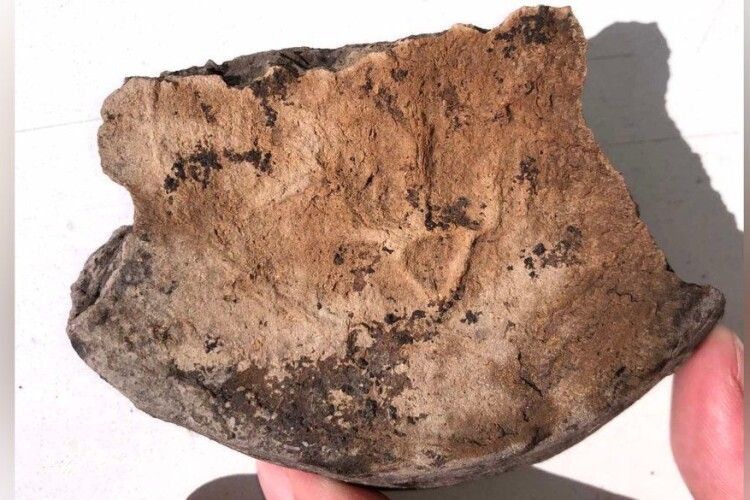 У Володимирі археологи викопали давньоруський горщик із тавром тризуба