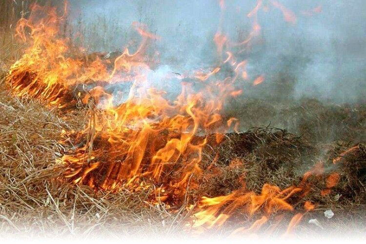 На Волині цього року вже притягнуто до відповідальності першого винуватця спалювання сухої трави 