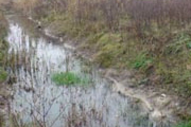 ЯК У КОВЕЛІ АСФАЛЬТ… ГРЕЙДЕРУВАЛИ