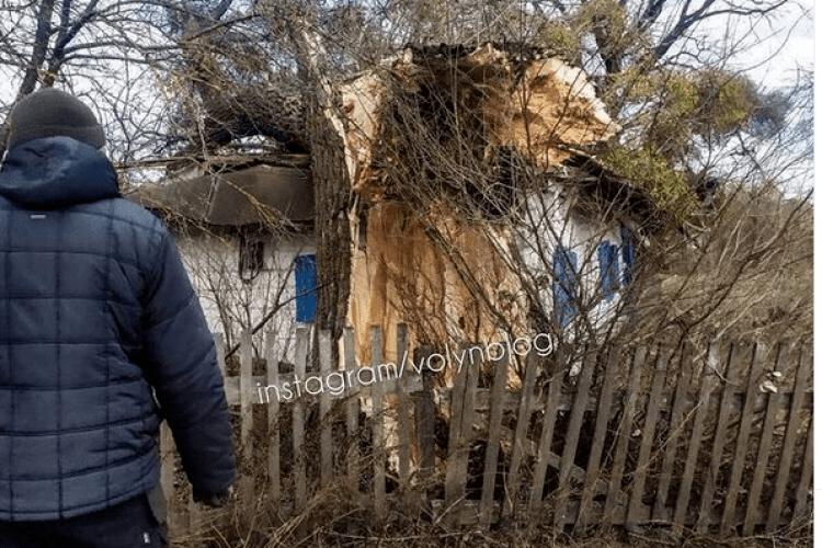 Родина з Камінь-Каширщини мусить знімати з будинку уламки величезного дерева 