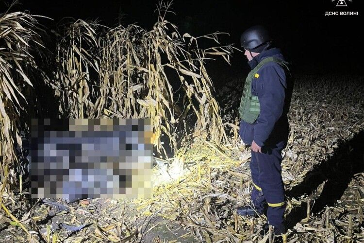 У селі поблизу Луцька виявили небезпечний предмет