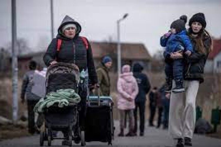 Волинь прийняла уже 13 200 біженців