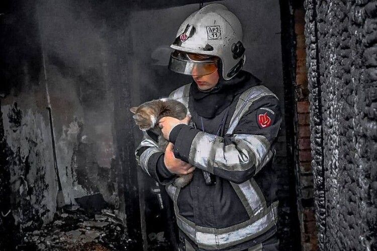 Вогнеборці під час ліквідації пожежі врятували котика 