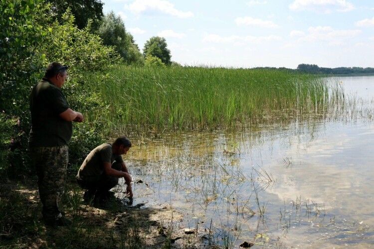 Перевірили якість води одного з найбільших Шацьких озер