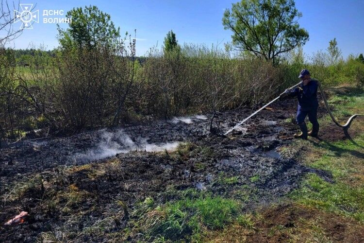 У двох громадах на Волині боролися з вогнем в екосистемах