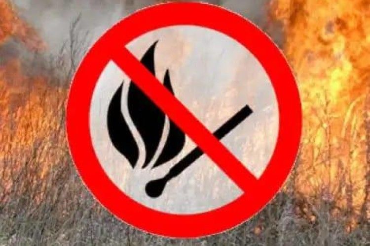 За спалювання сухої трави жителів Ратнівщини чекає адміністративна та кримінальна відповідальність