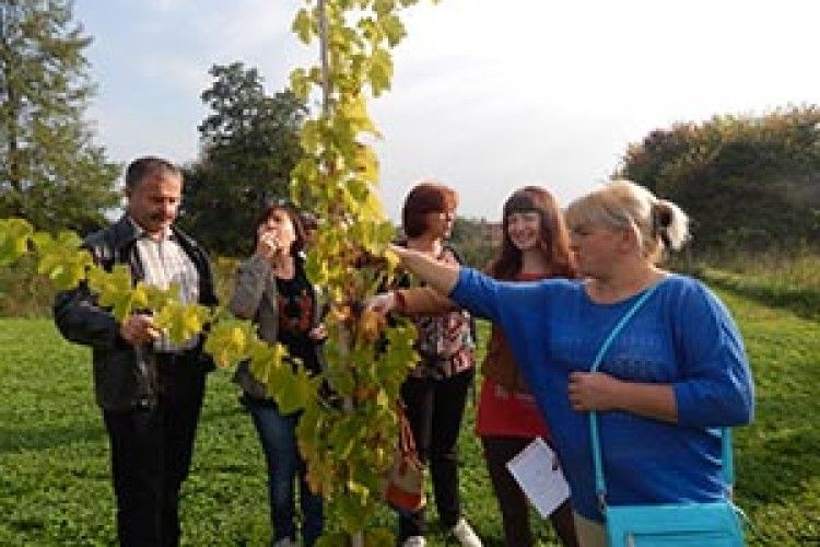 ЕКОЛОГІЧНО ЧИСТІ ПРОДУКТИ — ШАНС ДЛЯ ВОЛИНСЬКИХ ФЕРМЕРІВ*