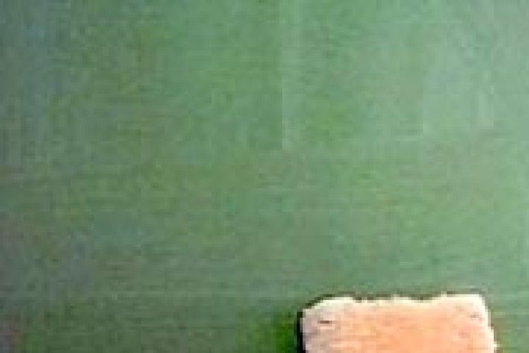 ЧОМУ ЗАПРОТЕСТУВАЛИ ДИРЕКТОРИ ШКІЛ?