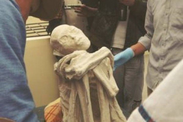 Знайшли мумію іншопланетянина (фото, відео)