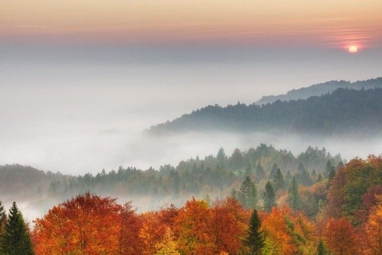 Погода на четвер, 24 жовтня: зранку все довкруж огорне туман, а вдень пануватиме осіннє тепло