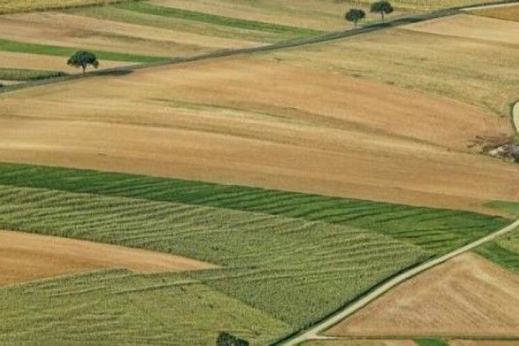 «Розрив» - у 70 тисяч гектарів: на Волині проведуть аудит сільськогосподарських земель