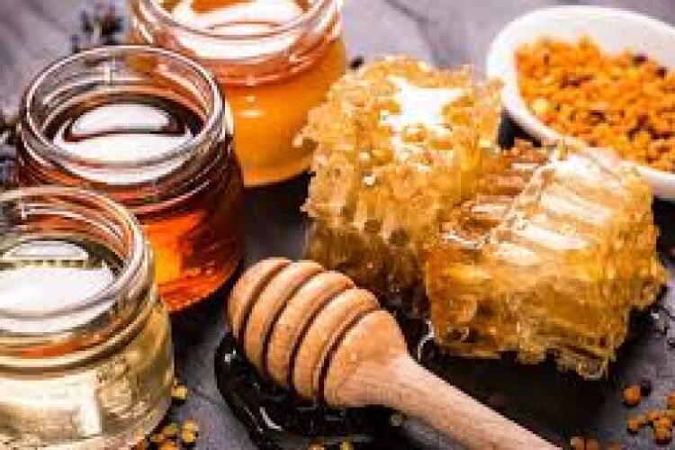 Україна домовилась з Китаєм про експорт ріпакового шроту і меду