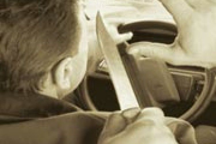 БРАТИ-РОЗБІЙНИКИ