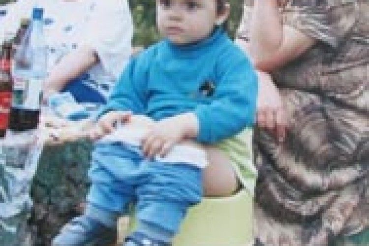 ФОТО НА КОНКУРС: диво-зручності на пеньку