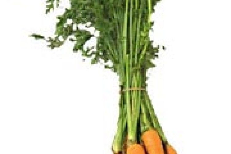 МОРКВЯНІ ФАНТАЗІЇ