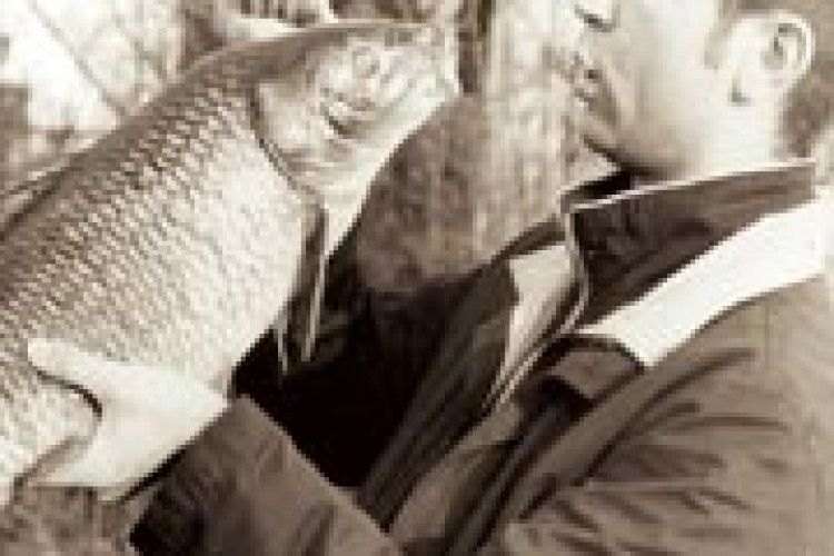 ФОТОЖАРТ: «Якщо не можеш виконати трьох моїх бажань, тоді скажи, яка олія обі до вподоби!»