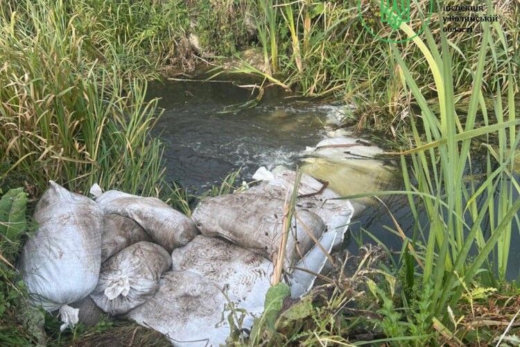 На Волині розшукують осіб, які вчинили екологічний злочин