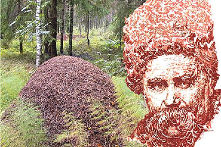 ПЕРЕД АРЕШТОМ У 1950-му ЗАХОВАВ «КОБЗАРЯ» У МУРАШНИКУ