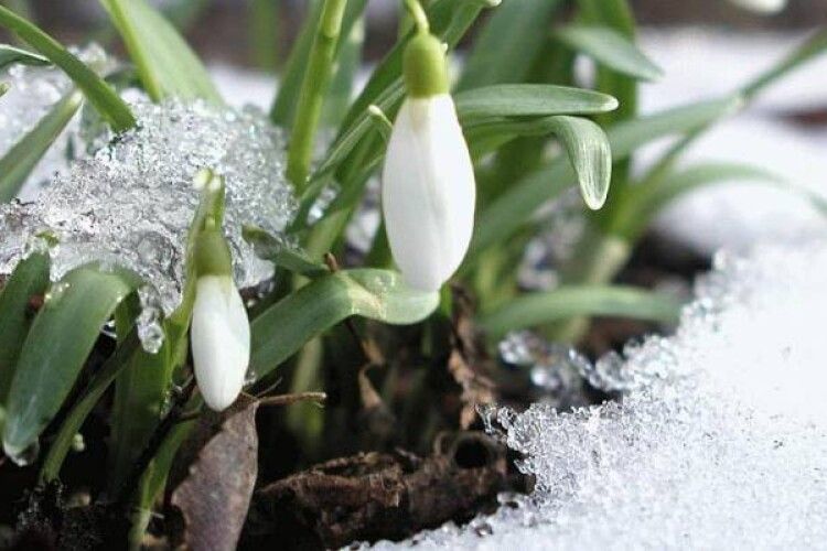 Україну чекає мороз зі снігом посеред весни: синоптикиня вразила прогнозом погоди