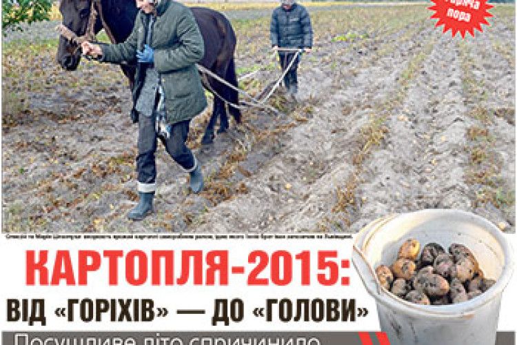 КАРТОПЛЯ-2015: ВІД «ГОРІХІВ» — ДО «ГОЛОВИ»