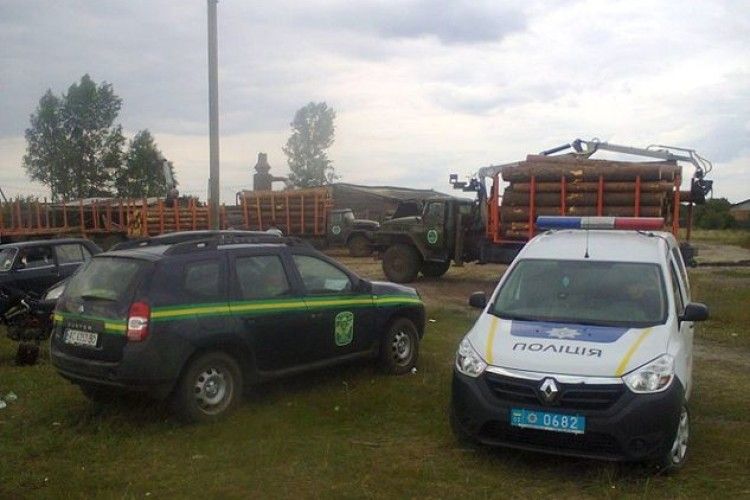 Під час перевірки пилорами в Маневицькому районі виявлено лісопродукцію сумнівного походження