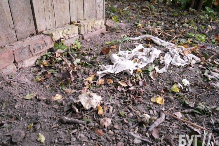 На Волині невідомі закатували і вбили собаку на кладовищі (Фото 18+)