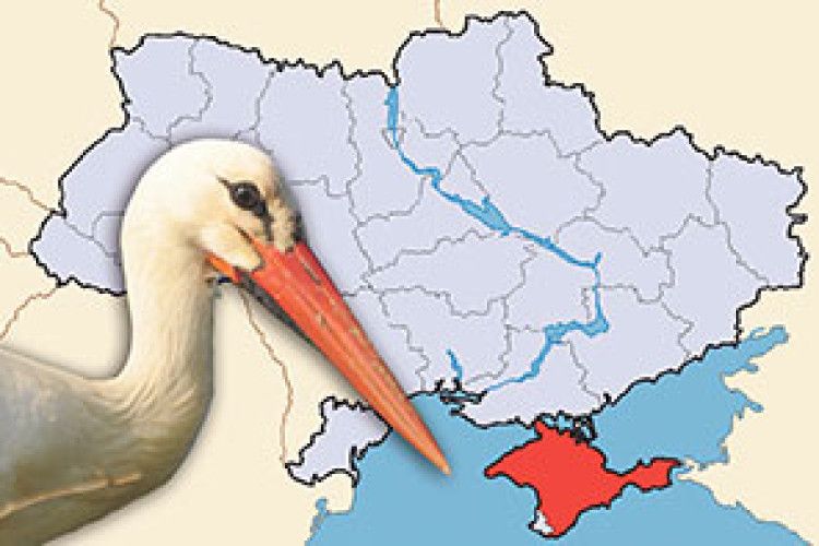 ДО КРИМСЬКОЇ РОДИНИ У ЛУЦЬКУ ПРИЛЕТІВ ЛЕЛЕКА!