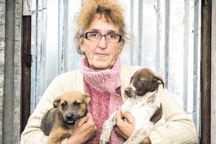 Ніна Кондратюк тримає вдома понад 100 собак і котів