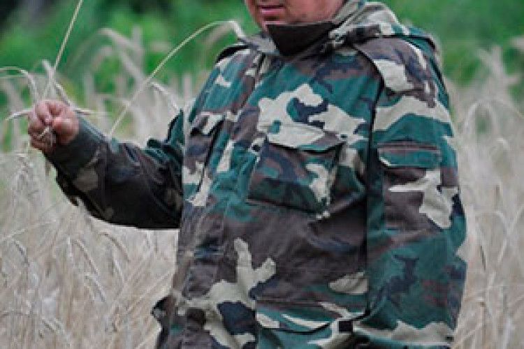 У СОЛОГУБІВЦІ ВЕПРИ НЕ БОЯТЬСЯ ЛЮДЕЙ