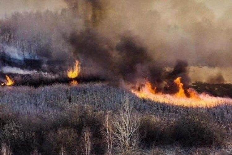 Володимир Ар’єв: «Зеленський має не ховати голову в пісок, а негайно скликати РНБО через екологічну катастрофу»