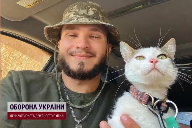 У пса Патрона з’явився конкурент – «волинський» кіт Шайба (Відео)