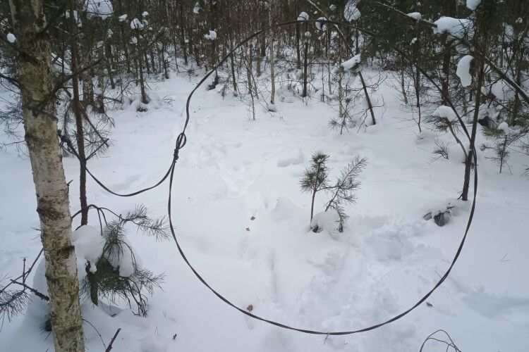 На Волині охорона нацпарку «почистила» озера та ліси від браконьєрських пасток