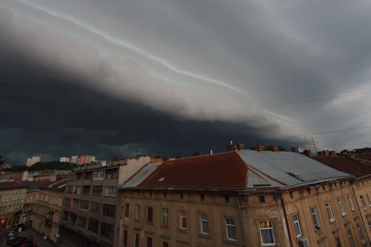 У Львові вирував шторм: повалило понад 100 дерев