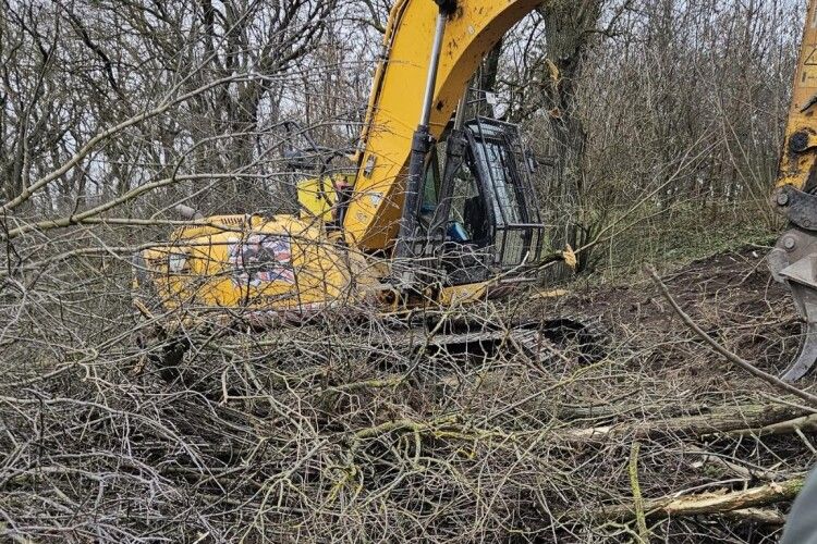 У селі на Волині виявлено незаконну рубку дерев