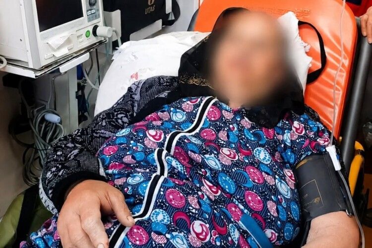 На Закарпатті гадюка вкусила жінку прямо на її подвір'ї