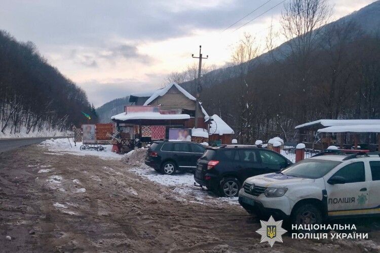 На Закарпатті собаки напали на туристів: дівчинка у лікарні