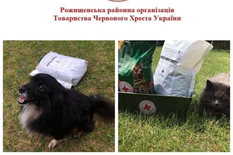 Допомога чотирилапим: на Волині роздають корм для домашніх улюбленців ВПО