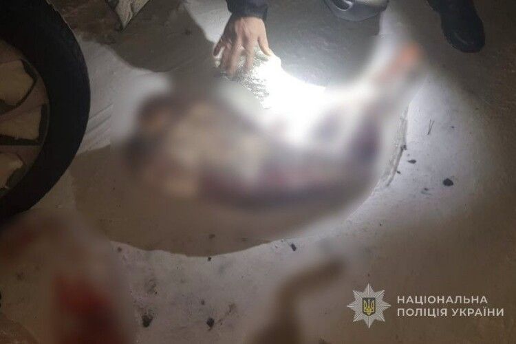 На Волині браконьєр пропонував 200 доларів поліції за вбитих зайця та козу