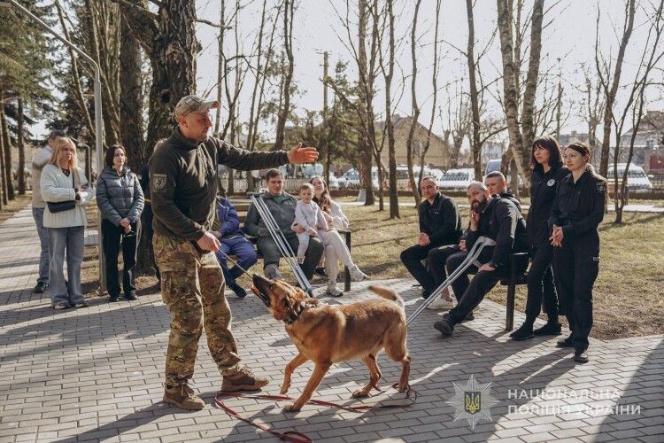 Ментальне здоров'я на чотирьох лапах: як каністерапія допомагає волинським захисникам
