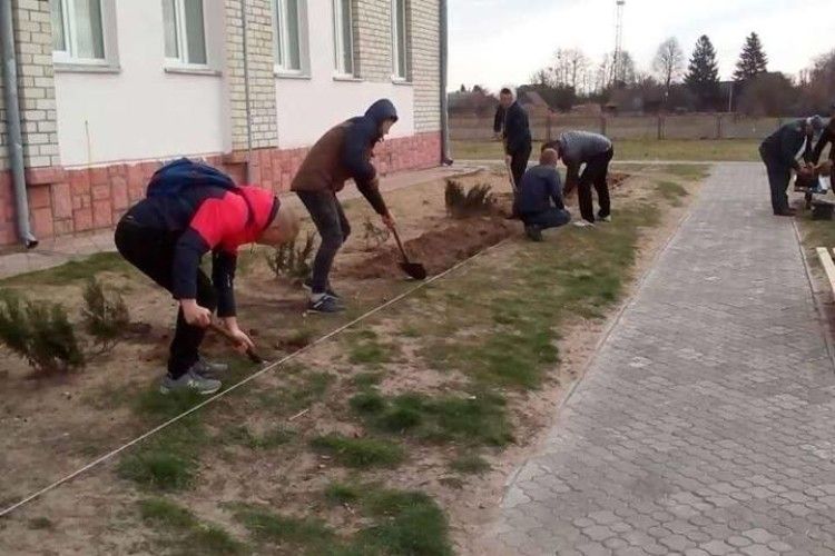 Біля школи у Ветлах зеленітиме самшит, квітнутиме форзиція та плодоноситиме ірга (фото)