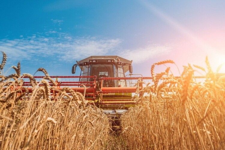 У Луцькому районі триває жнивна кампанія 