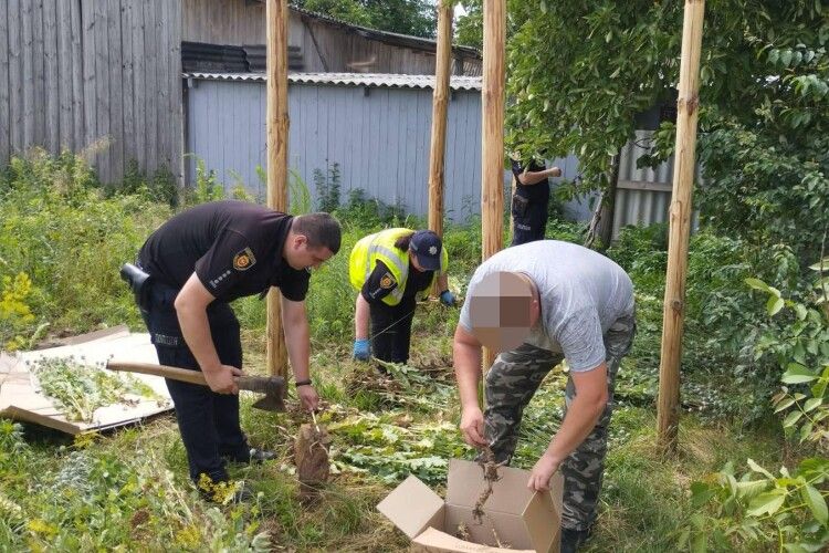 Поліцейські Рівненщини передчасно збирали врожай