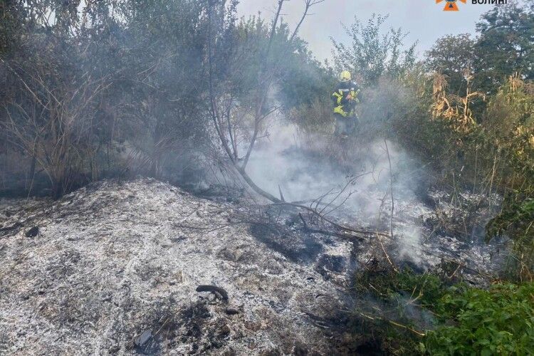 Волинські рятувальники ліквідували загорання сміття та сухої трави