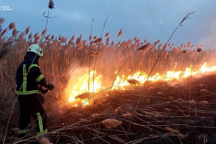 І знову підпал сухої трави: рятувальники Волині двічі виїжджали на пожежі