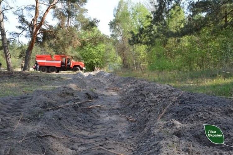 Оперативність, що рятує ліси: як лісівники стримують вогонь на Волині та Рівненщині