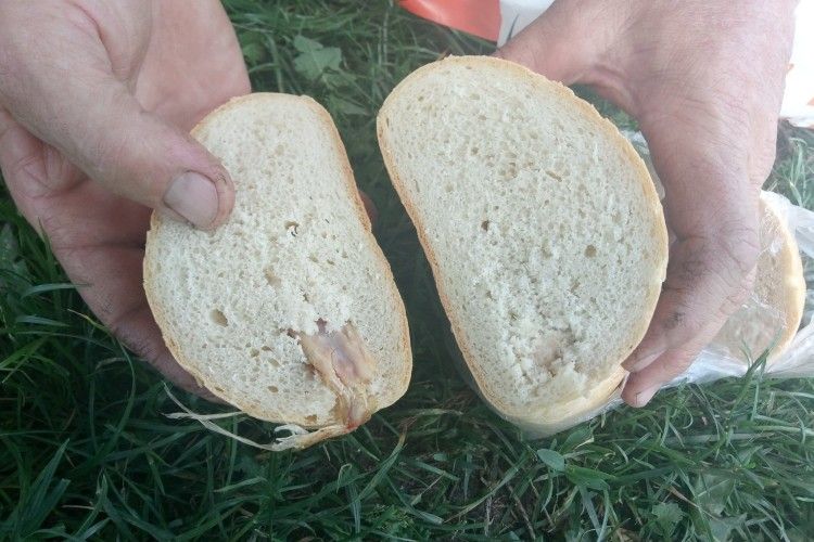 «Джекпот» від Нововолинського хлібозаводу: хліб із курячими крильцями…