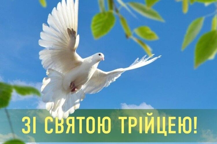 Голова Волинської облради привітав зі святом і назвав всіх «друзями»