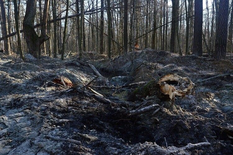 Жителя Рівненщини засудили через бурштин